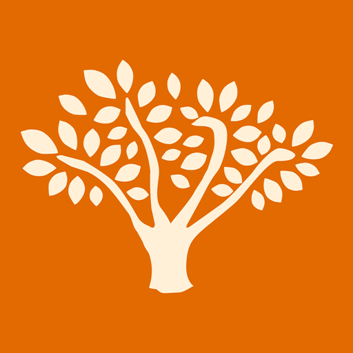 Klima Champs logo