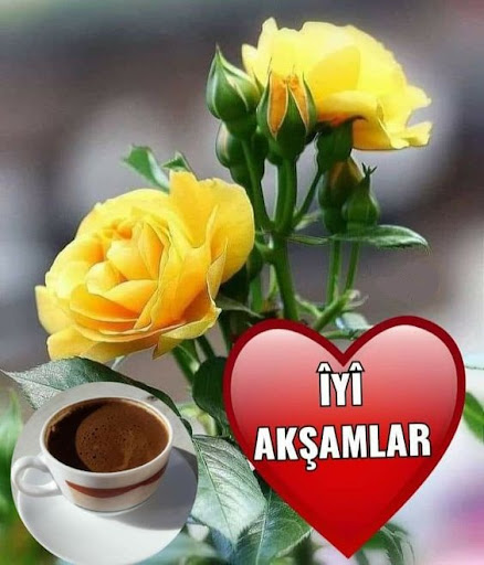 Android application Mutlu akşamlar screenshort