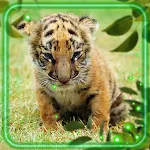 Cover Image of Download Animals Baby Funny  APK