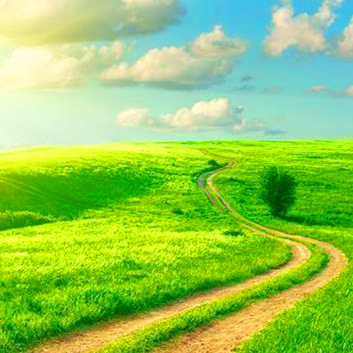 4K Landscape Wallpaper