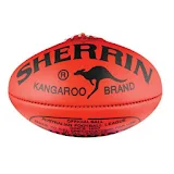 Unofficial AFL 2015 icon