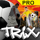 3D Soccer Tricks PRO Laai af op Windows
