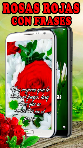 Android application Rosas Rojas Hermosas Flores screenshort