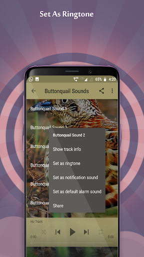 Android application Buttonquail Sounds screenshort