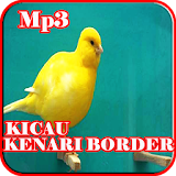 Kicau Kenari Border Mp3 icon