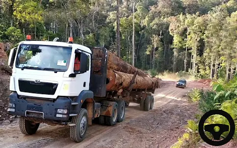Indian Dumper Truck Simulator