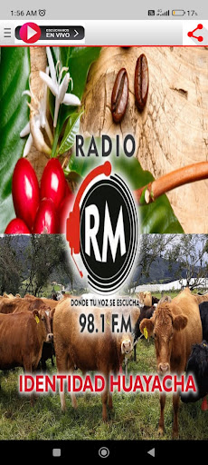 Radio Mendoza 98.1 Screen 3