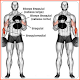 शरीर की मांसपेशियों का व्यायाम विंडोज़ पर डाउनलोड करें