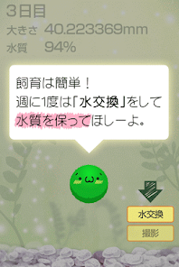 ゆる く まりも育成 Google Play のアプリ