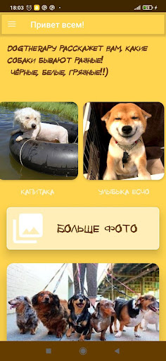 Dog breeds and photos