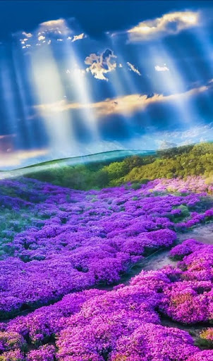 Purple Nature Wallpapers Screen 2