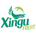 Cover Image of Tải xuống Xingu Fruit  APK