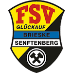Cover Image of Descargar FSV Brieske Senftenberg  APK
