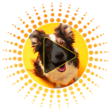 Dog Sounds and Ringtones icon