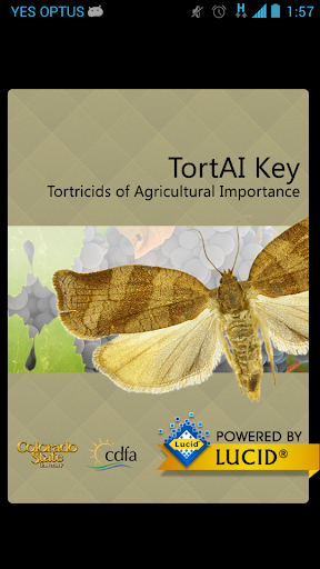 Android application TortAI Key screenshort