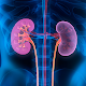 Repair Your Kidneys Naturally Download on Windows