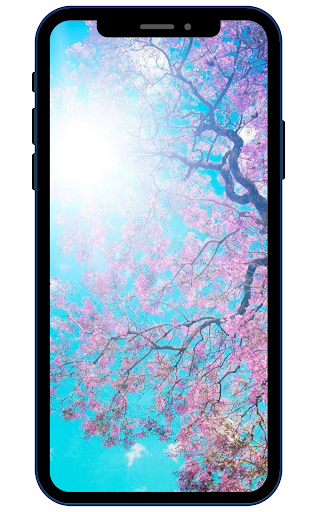 Android application Beautiful Spring Wallpapers screenshort
