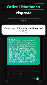 Immagine screenshot