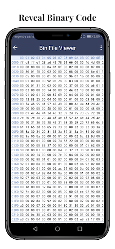 Bin File Opener: Bin Viewer Screen 3