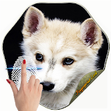 Fingerprint Cutest Puppy Fake icon