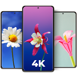 「Cool Flower Wallpapers 4K | HD」のアイコン画像
