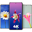 Cool Flower Wallpapers 4K | HD