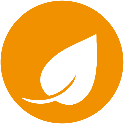 Shaufel go logo