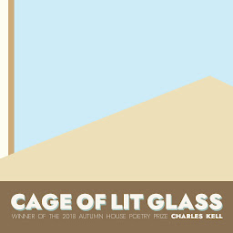 Obraz ikony: Cage of Lit Glass