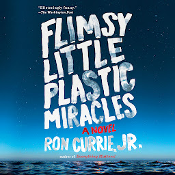 Icon image Flimsy Little Plastic Miracles: A Novel