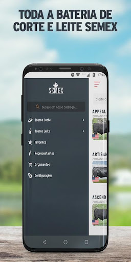 Semex Brasil Screen 2