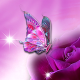 Butterfly Live Wallpaper ღ Animated Butterflies icon