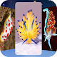 600+ Sea Slug Wallpapers Download on Windows