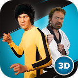 Kung Fu Fighting Stars Cup icon
