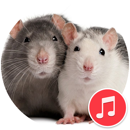 Mouse and Rat Sounds