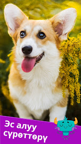 Скриншоттун сүрөтү