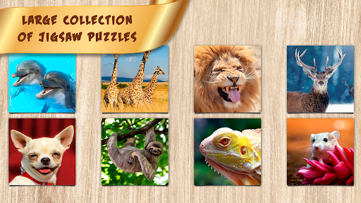 Android application Puzzles for Adults no internet screenshort