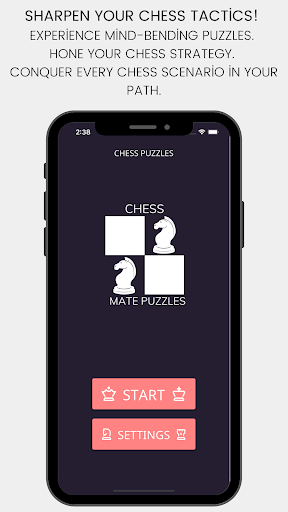 Chess Mate Puzzle Screen 2
