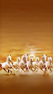 Horse Wallpaper HD
