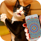 Cat Hypnosis Illusion Joke icon