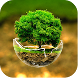 Nature Tree Wallpapers icon