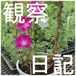 Cover Image of ダウンロード Observation diary 1.9 APK