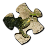 Turtle Jigsaw Puzzles icon