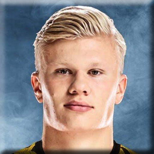 Erling Haaland -Wallpapers logo