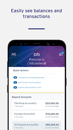 Screenshot of CitiBusiness Mobile