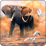 Cover Image of Herunterladen Elephant Wallpapers 1.0 APK
