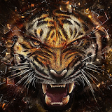 tigers live wallpapers icon