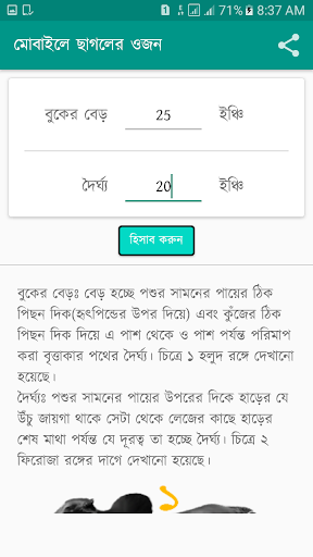 মোবাইলে গরুর ওজন Screen 3