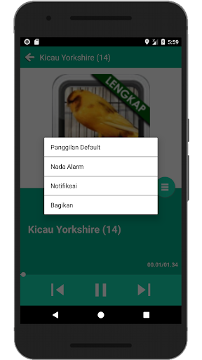 Kenari Yorkshire Kicau Mania