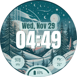 EXD020: Winter Watch Face