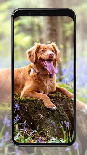 Dog Wallpapers Screen 2